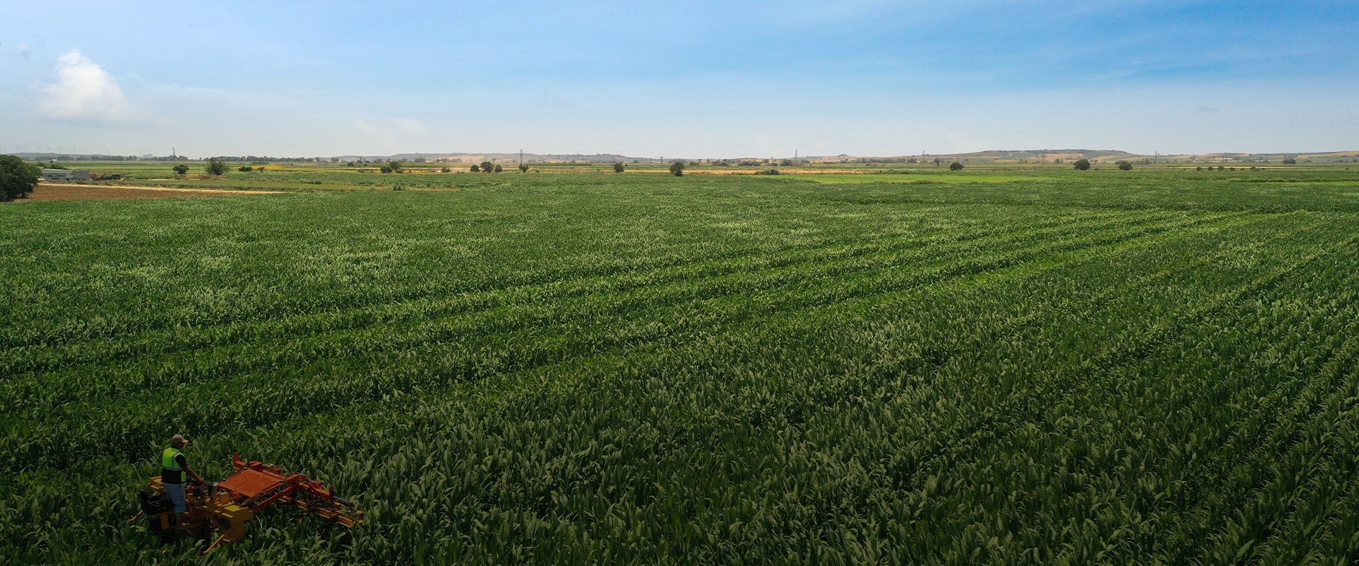 Nerede, ne zaman, neler yapıyoruz!