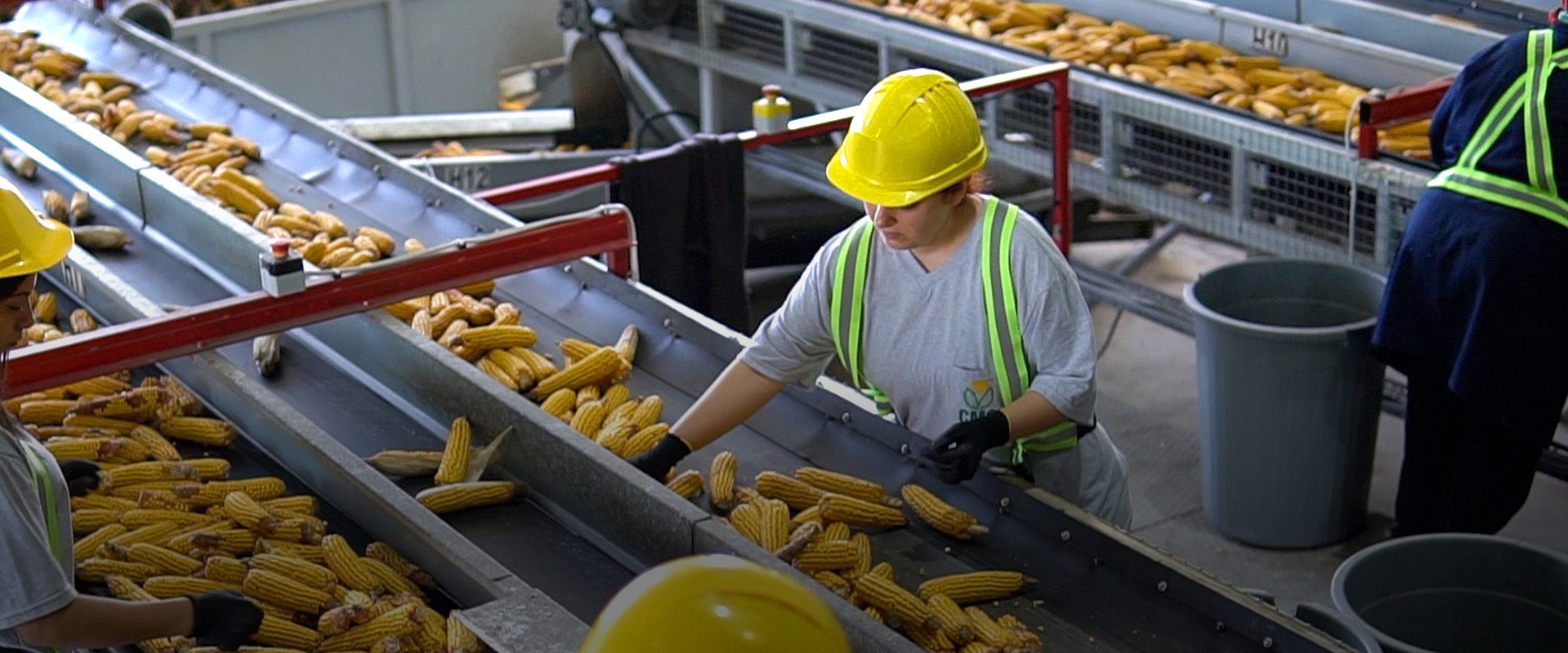 Yatırımlarımızla üreticilerin yanındayız!